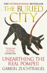 The Buried City (ISBN: 9781399741729)