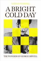 A Bright Cold Day (ISBN: 9780861549764)