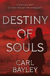 Destiny of Souls (ISBN: 9781836281955)