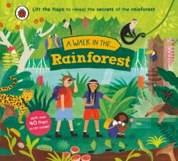A Walk in the Rainforest (ISBN: 9780241615553)