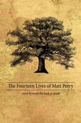 The Fourteen Lives of Matt Perry (ISBN: 9781438940083)