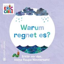 Warum regnet es? (ISBN: 9783836963749)