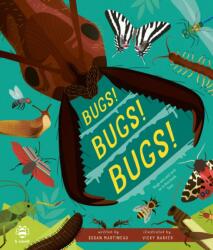 Bugs! Bugs! Bugs! (ISBN: 9781916851252)