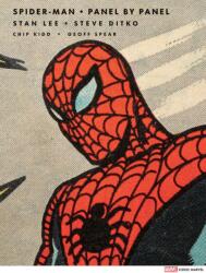 Spider-Man: Panel by Panel (ISBN: 9781419764011)