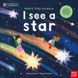 University of Cambridge: Teeny Tiny Science: I See a Star (ISBN: 9781805133261)