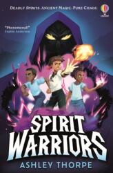 Spirit Warriors (ISBN: 9781805075653)