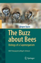 Buzz about Bees - Jürgen Tautz (ISBN: 9783540787273)