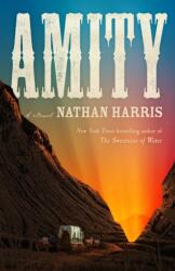 AMITY (ISBN: 9781035404674)