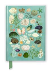 Katherine Quinn: Beachcombing (ISBN: 9781835625255)