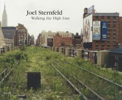 Joel Sternfeld - Joel Sternfeld (ISBN: 9783865219824)