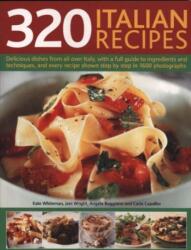 320 Italian Recipes (ISBN: 9781844769001)