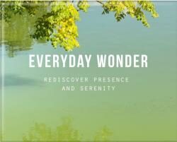 Everyday Wonder (ISBN: 9781916753488)