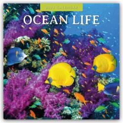 Ocean Life 2026 Square Wall Calendar (ISBN: 9781804429945)