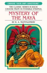 Mystery of the Maya (ISBN: 9781782694984)