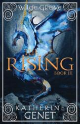 Rising (ISBN: 9780473563028)