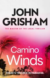 Camino Winds (ISBN: 9781399740449)
