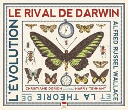 Darwin's Rival: Alfred Russel Wallace and the Search for Evolution (ISBN: 9781529525854)