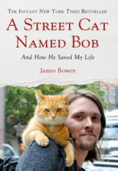 STREET CAT NAMED BOB - James Bowen (ISBN: 9781250029461)