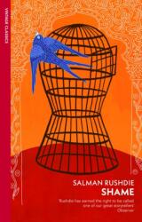 Shame (ISBN: 9781784878931)