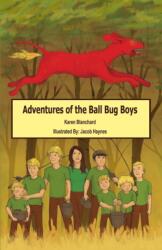 Adventures of the Ball Bug Boys (ISBN: 9781626468504)