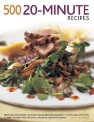 500 20 Minute Recipes (ISBN: 9781781460160)