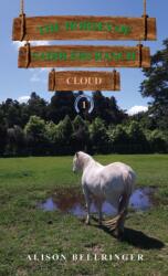 Caii de la ferma Saddlers: Cloud (ISBN: 9781037102950)