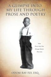 A Glimpse Into My Life Through Prose and Poetry (ISBN: 9781628392111)