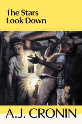The Stars Look Down (ISBN: 9781035069514)