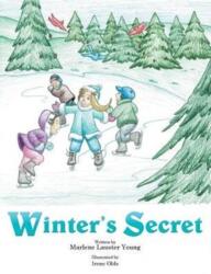 Winter's Secret (ISBN: 9781496943392)