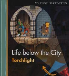 Life Below the City (ISBN: 9781851034109)