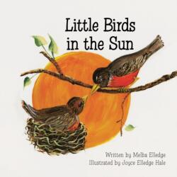 Little Birds in the Sun (ISBN: 9781436347044)