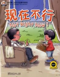 Not Right Now! (ISBN: 9781907838200)