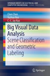 Big Visual Data Analysis (ISBN: 9789811006296)