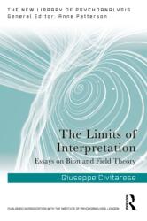 The Limits of Interpretation (ISBN: 9781041031253)