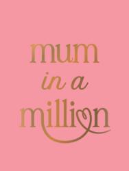 Mum in a Million (ISBN: 9781837998173)