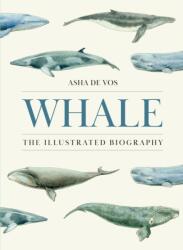 Whale (ISBN: 9780691273211)
