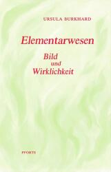 Elementarwesen (ISBN: 9783859899414)