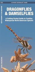 Dragonflies & Damselflies (ISBN: 9781583554753)