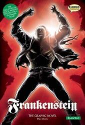 Frankenstein the Graphic Novel: Quick Text (ISBN: 9781906332501)