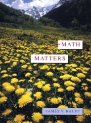 Math Matters (ISBN: 9780471304524)