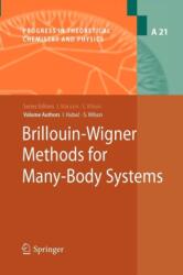 Brillouin-Wigner Methods for Many-Body Systems (ISBN: 9789400731042)