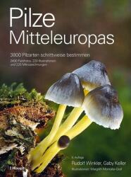 Pilze Mitteleuropas (ISBN: 9783258084640)