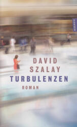 Turbulenzen (ISBN: 9783446289185)