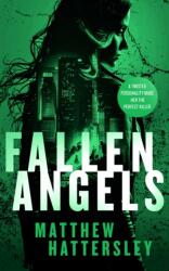 Fallen Angels: a white-hot page-turning assassination thriller (ISBN: 9781036700690)