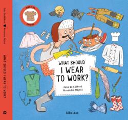 What Should I Wear To Work? (ISBN: 9788000069975)
