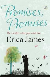 Promises, Promises (ISBN: 9781409102588)