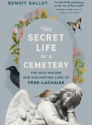 The Secret Life of a Cemetery - Daniel Casanave, Arielle Aaronson (ISBN: 9781778403903)