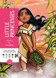 Mystery Colouring - Little Princesses (ISBN: 9782017378297)