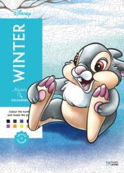 Mystery Colouring - Winter (ISBN: 9782017378273)