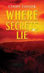 Where Secrets Lie (ISBN: 9781037114151)
